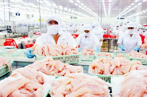 Bảy doanh nghiệp Việt Nam “thoát” thuế chống bán phá giá cá tra phile tại Mỹ
