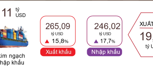 Xuất nhập khẩu kỳ vọng đạt 800 tỷ USD trong năm nay