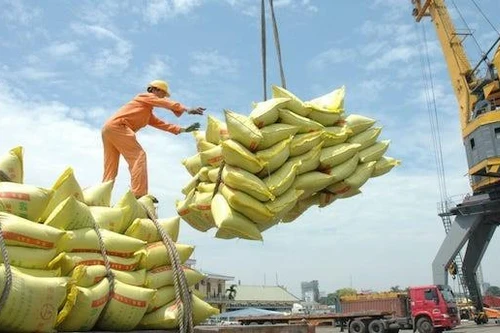 Việt Nam sẽ xuất khẩu 10.000 tấn gạo vào EAEU