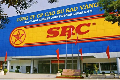 Cao su Sao Vàng bị truy thu, xử phạt gần 1,4 tỷ đồng tiền thuế
