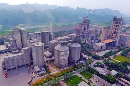 Thanh tra Tổng Công ty Xi măng Việt Nam - Vicem và 3 công ty con