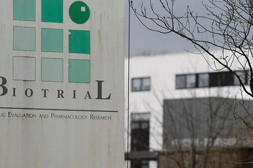 Chết não vì thử nghiệm thuốc