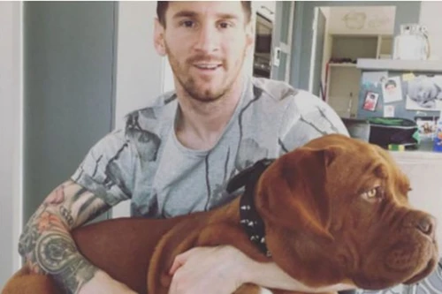 Các sao của Barcelona: Rộ mốt nuôi thú cưng