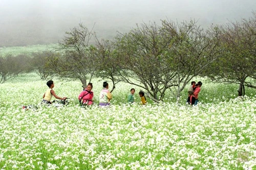 Tái hiện lễ cấp sắc của người Sán Dìu tại Hà Nội