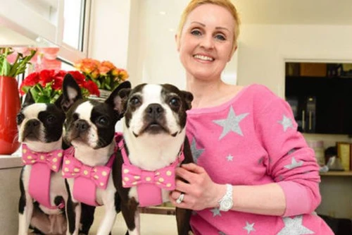 Anh: Người phụ nữ tiêu 27.000USD một năm "nuông chiều" ba chú chó cưng