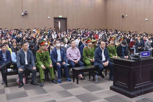 Vụ Tân Hoàng Minh: Nếu bị hại đã chết, số tiền được bồi thường thuộc về ai?