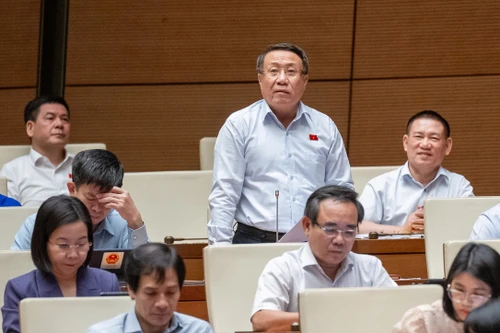 Đại biểu Quốc hội đề nghị giảm thuế VAT cho tất cả các mặt hàng xuống 8%