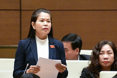 Đại biểu Quốc hội đề xuất bổ sung quy định xử lý trách nhiệm cơ quan chịu sự giám sát