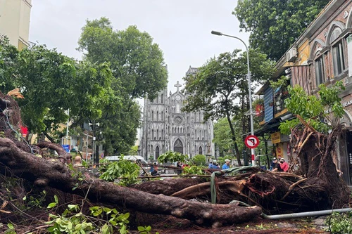 Mới: Người lao động có được hưởng lương trong thời gian phải nghỉ làm do bão số 3?