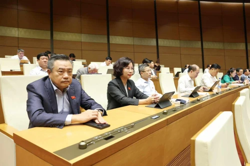 Cho phép thực hiện sớm việc mua bán vật chứng, nhà đất đã kê biên?