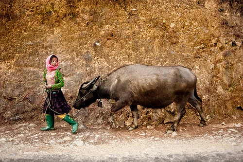 Bức ảnh đăng trên An ninh Thủ đô đoạt giải Quốc tế