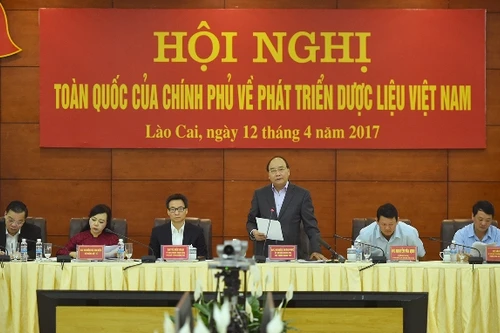 Thủ tướng Nguyễn Xuân Phúc: Cần làm rõ vì sao dược liệu Việt rẻ hơn cả… khoai lang?