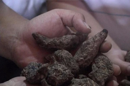 Khó khăn kiểm soát thị trường thuốc đông dược