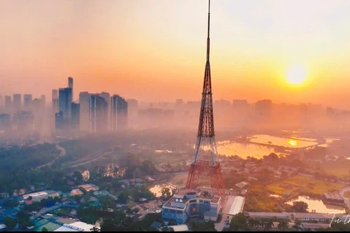 Giải mã sức hút "triệu view" của phim hình sự “Mật lệnh hoa sữa”