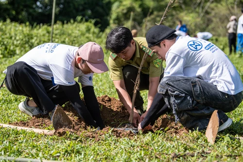 Hoa hậu Ý Nhi và thí sinh "Mr World Vietnam 2024" trồng cây gây rừng