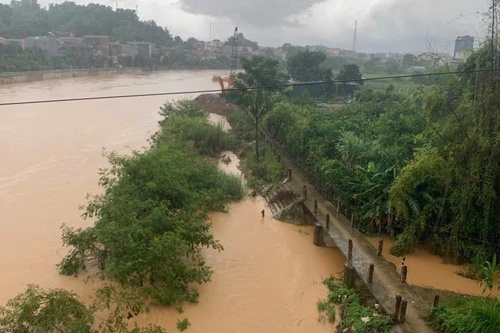 Hoa hậu Lương Thùy Linh: "Những ngày qua, tim tôi như thắt lại khi nhìn hình ảnh quê hương chìm trong lũ dữ"