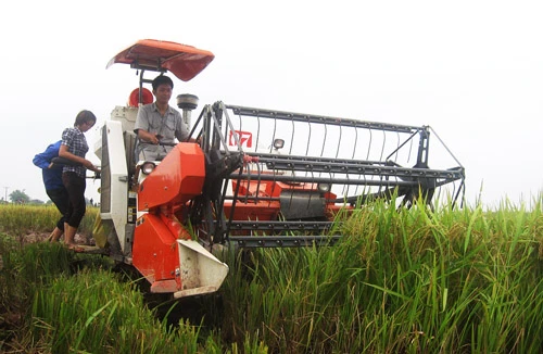 Cho vay nông nghiệp nông thôn hơn 646.700 tỷ đồng trong 3 năm