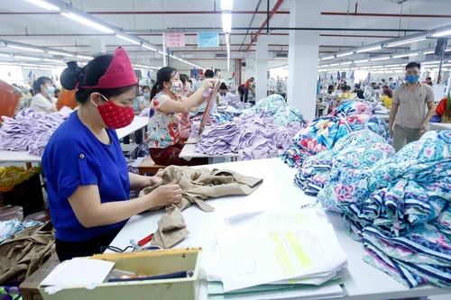 EVFTA: Cơ hội kỳ vọng cho Việt Nam