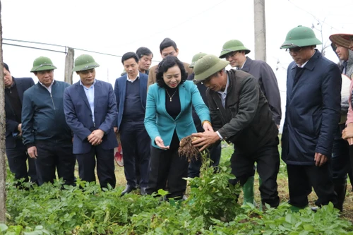 Hà Nội: Ưu tiên nguồn lực đầu tư xây dựng nông thôn mới, nâng cao đời sống người dân