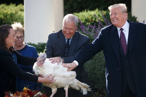 Những điều ông Donald Trump thích nhất khi làm Tổng thống Mỹ