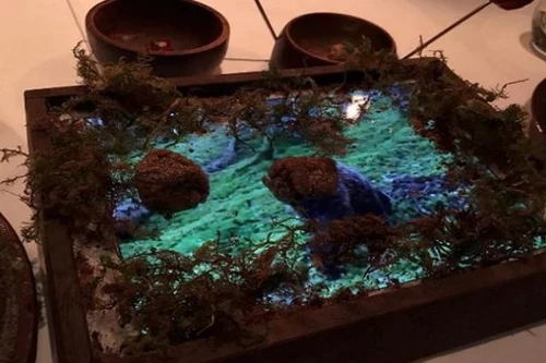 Lạ lùng nhà hàng bày đồ ăn trên... iPad 