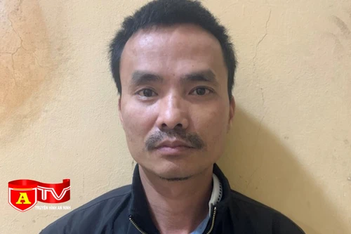 Khởi tố tài xế taxi húc nhân viên bảo vệ khu đô thị Vinhomes Ocean Park về tội giết người