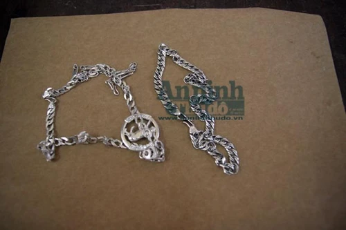 Bắt hai tên cướp chuyên giật dây chuyền của trẻ em