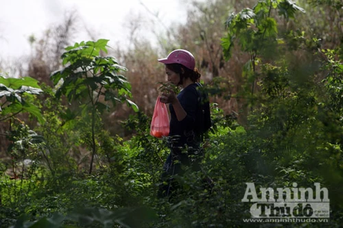 Nỗi buồn ngày tiễn ông Táo về trời