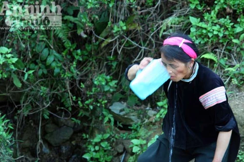  "Cháy vàng trắng" triền miên ở vùng cao