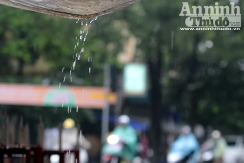 Người đàn bà ngủ phục trong cơn mưa Hà Nội