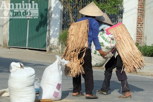 Nắng cháy, nông dân mặc "áo giáp” ra đồng