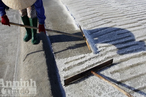 Chang chang nắng “ảo ảnh” trên đồng muối Sa Huỳnh