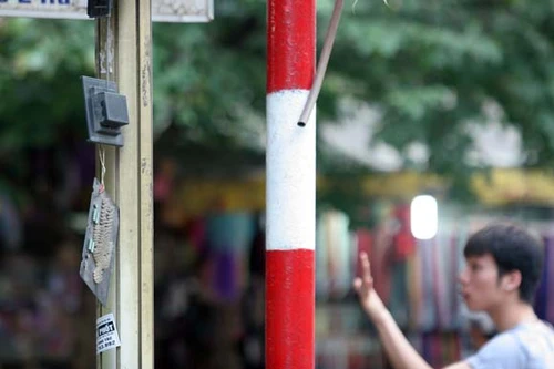 Xem những "cây cảnh" đặc biệt ở phố cổ Hà Nội