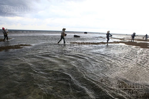 Những người đàn bà "trầm mình" dưới biển
