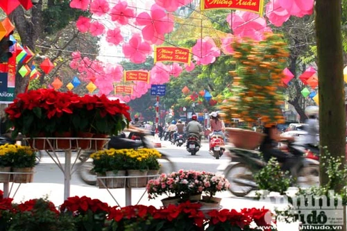 Hà Nội sáng bừng trong xuân mới