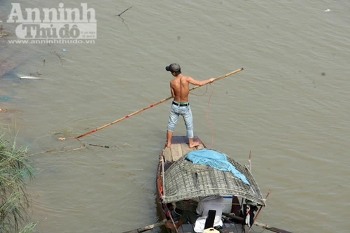 Ngán ngẩm cảnh: Chưa kịp chầu Trời, cá chép đã bị vớt gọn