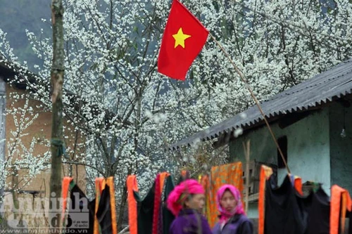 Trải nghiệm cung bậc mùa xuân vùng đá núi