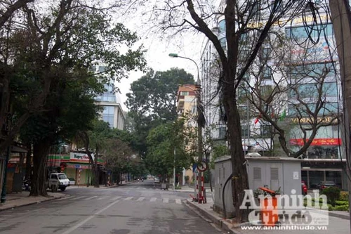 Tiếng chim thánh thót, nhẹ bước du xuân trong phố cổ Hà Nội