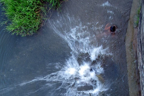 Sợ hãi cảnh trẻ nhấp nhô, nô đùa giữa xoáy nước