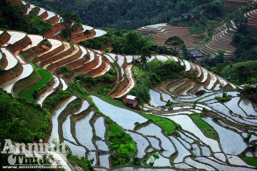 “Kỹ nghệ” đưa nước về núi của những “nhà điêu khắc” vùng cao