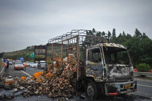 Trung Quốc: Xe tải bốc cháy khiến hàng ngàn con vịt sống thành vịt nướng