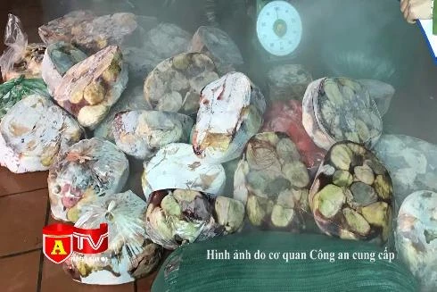 Đột kích kho nội tạng "3 không" chờ bán Tết ở Phú Xuyên