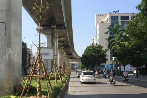 Trồng cây bên dưới đường sắt đô thị: Tạo không gian xanh, các nước đã làm từ lâu