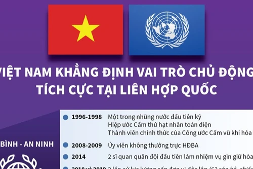 Việt Nam ngày càng đóng góp tích cực, thực chất vào hoạt động của Liên hợp quốc 