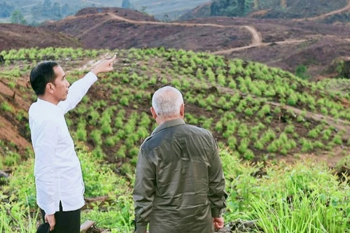 Sóng ngầm của thị trường nhà đất quanh vùng thủ đô mới của Indonesia 