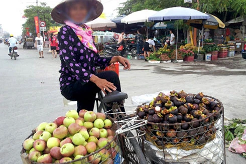 Hoa quả Trung Quốc "khoác áo" hàng Việt 