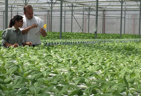 Tín hiệu tích cực trước "ma trận" thực phẩm bẩn