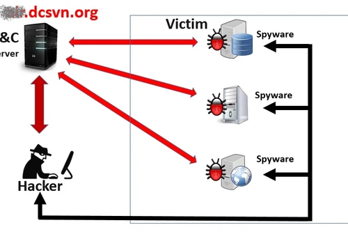 Mã độc tấn công Vietnam Airlines xuất hiện tại nhiều cơ quan, doanh nghiệp khác