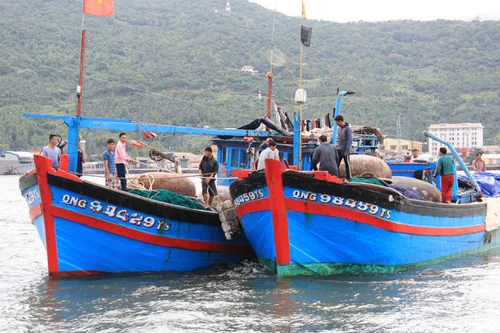 Tàu Trung Quốc đâm chìm tàu cá của ngư dân Việt Nam là hành động vô nhân đạo
