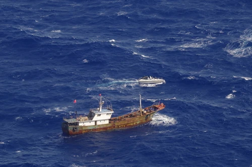 Nhật Bản phạt nặng tàu nước ngoài đánh bắt trộm